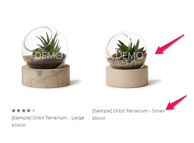Two size variations of an Orbit Terrarium with a "DEMO" label, each containing small plants and set on a stone base, with prices listed underneath.